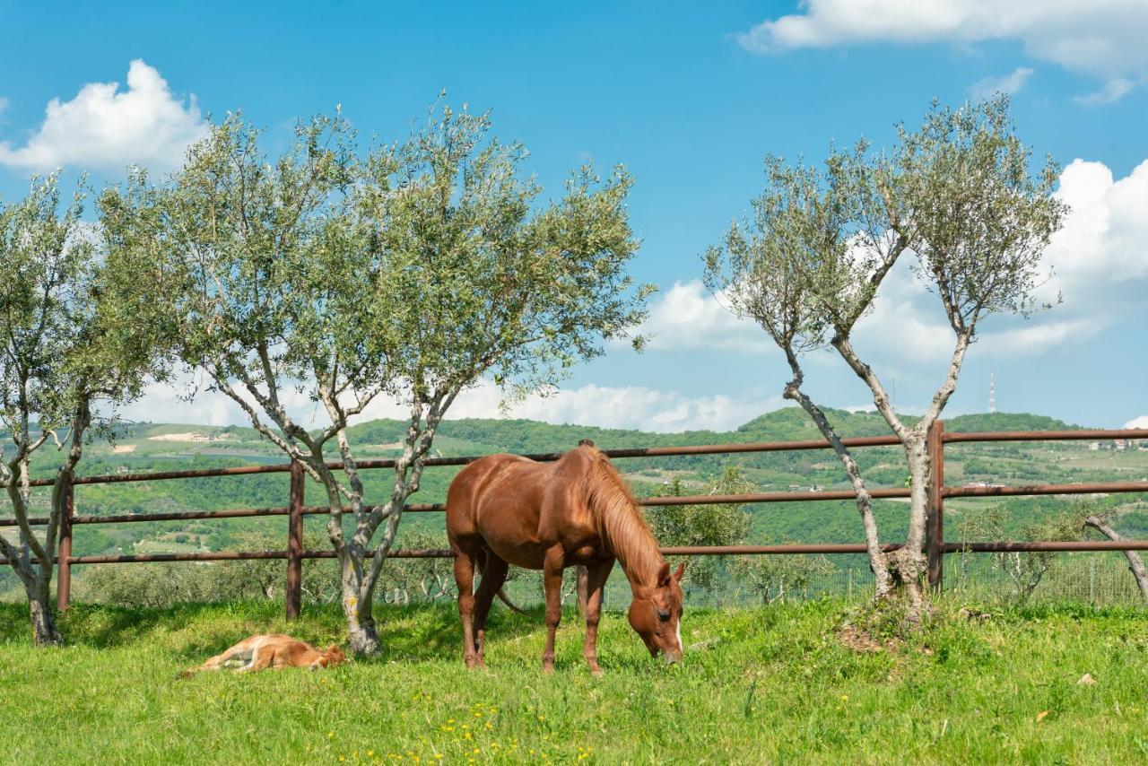 Sporting Hotel San Felice Illasi Εξωτερικό φωτογραφία